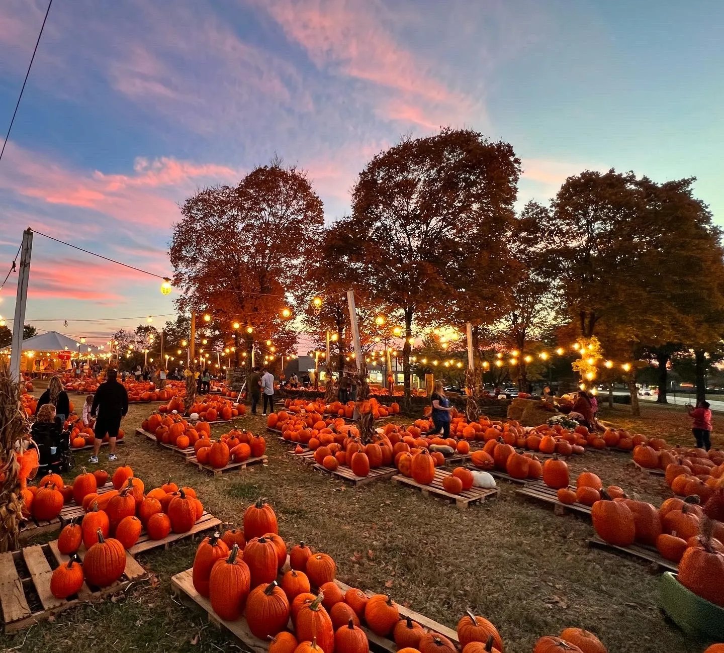 Nashville Pumpkin Company